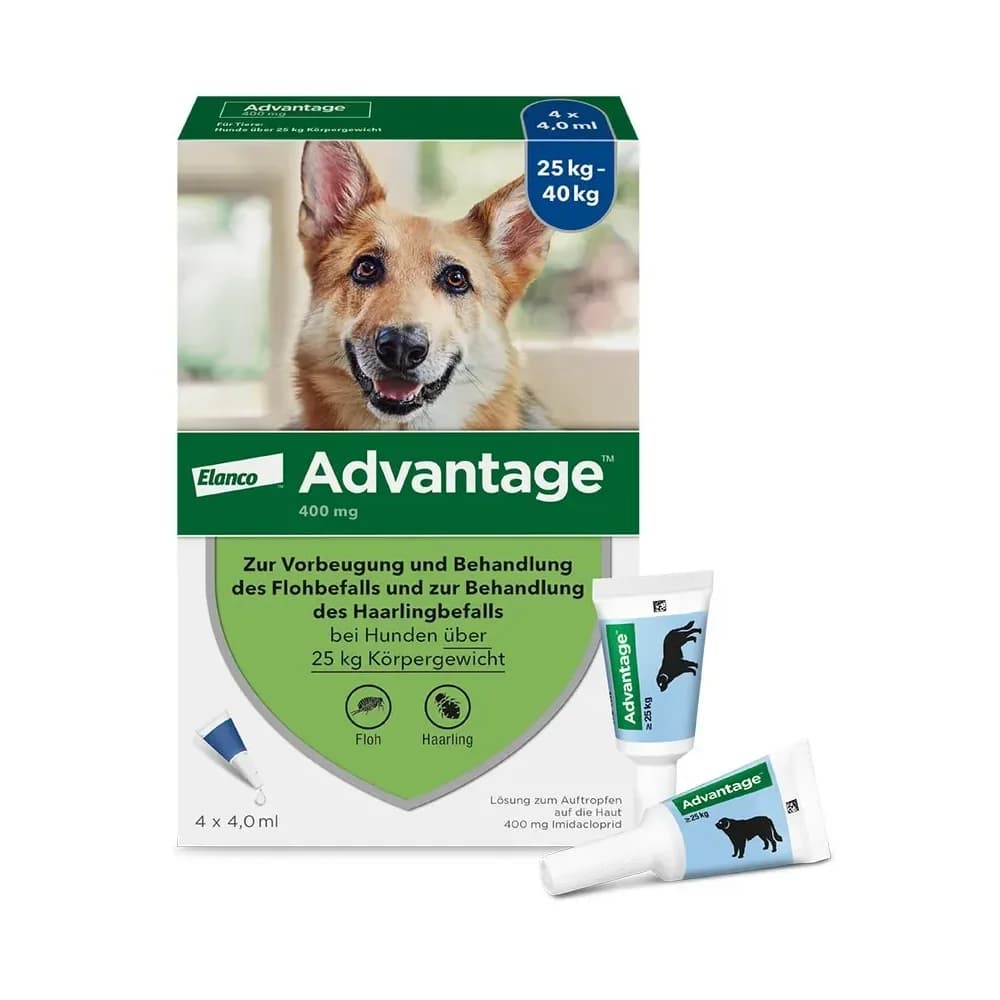 Advantage 400 Hund Pipette 4 ST
