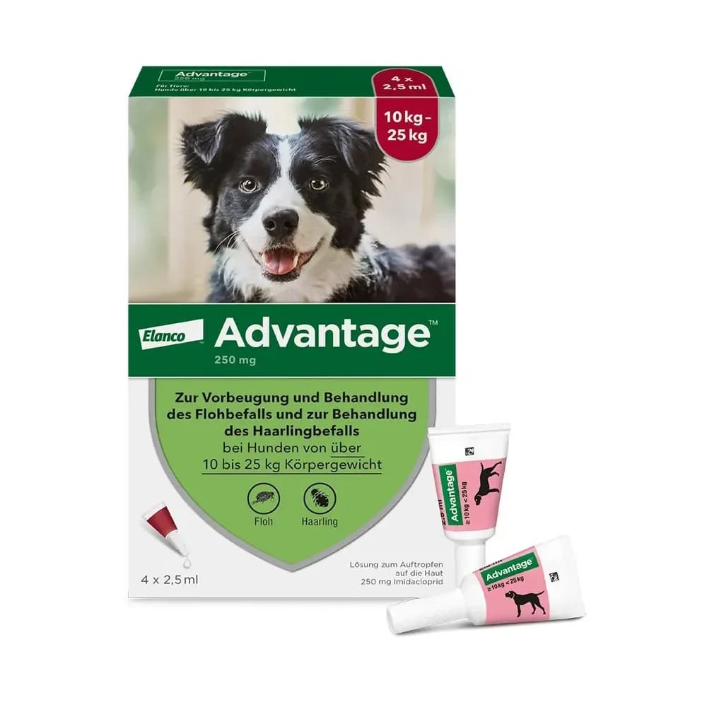 Advantage 250 Hund 4 ST