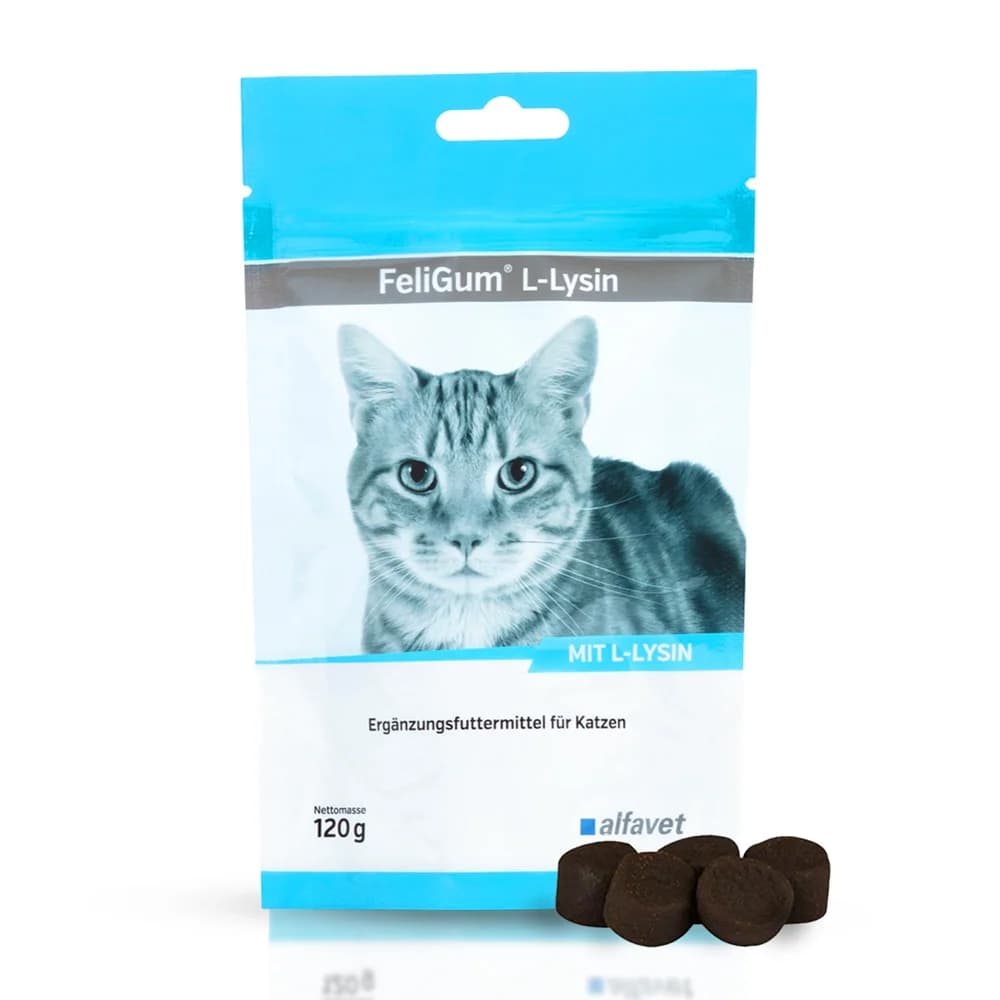 FeliGum L-Lysin 120g
