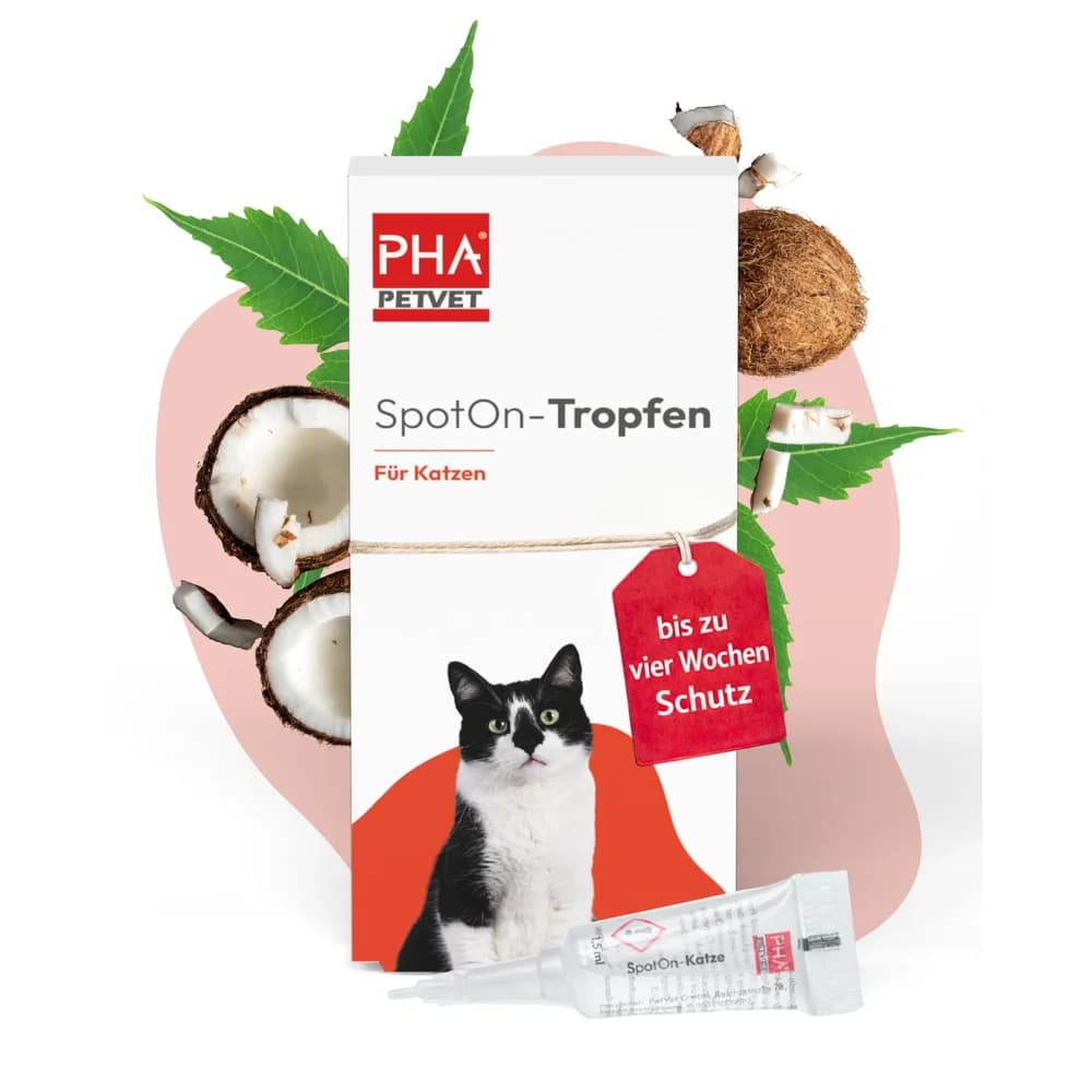 Pha Spot-on Tropfen Katzen