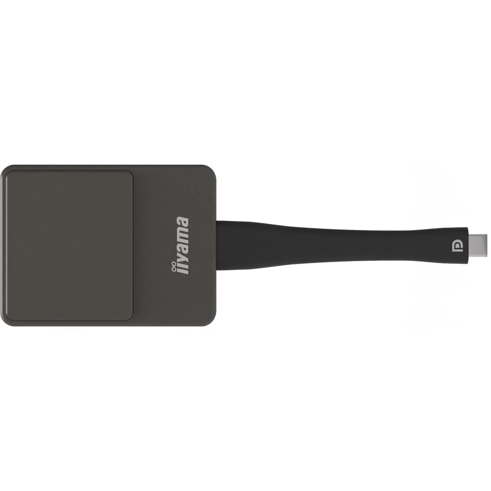 Iiyama Modem iiyama WP D002C