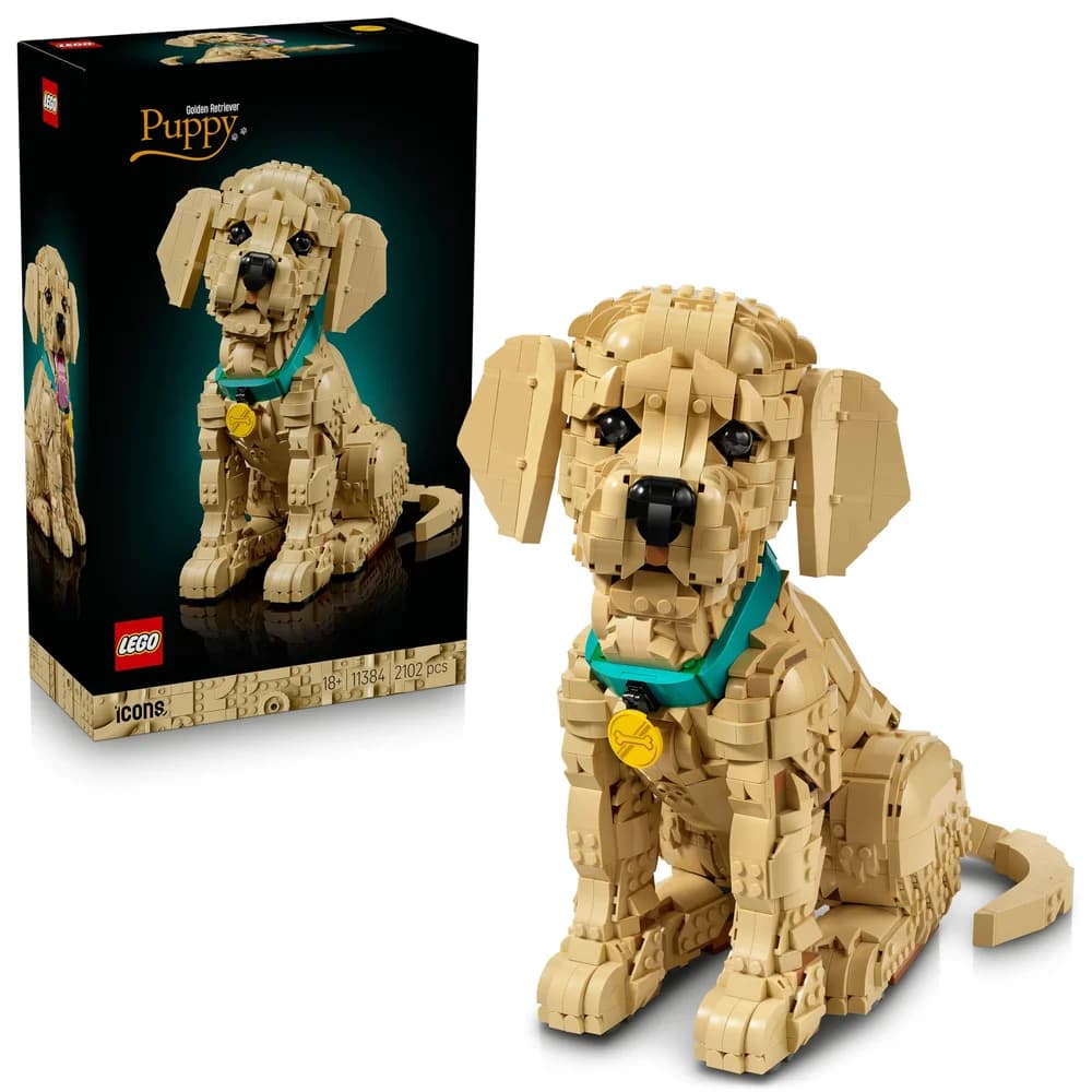 Icons 11384 Golden Retriever Welpe