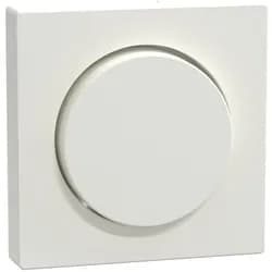 Merten Zentralplatte pws/gl MEG5250-0319