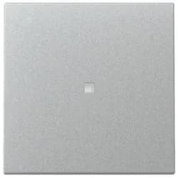Gira Wippe Kontrollf. 329026