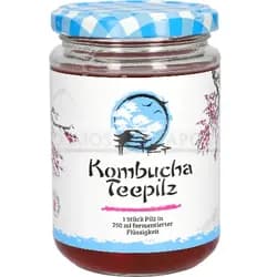 Kombucha Teepilz