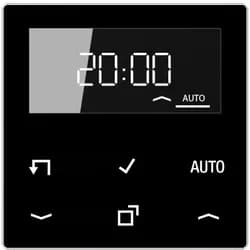 Jung Timer Standard, Display A 1750 D SW