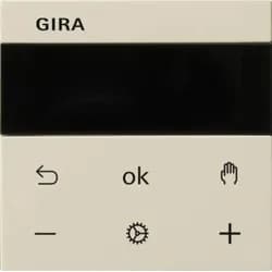 Gira RTR BT System 539401