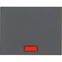 Berker Wippe 14157006