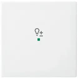 Busch-Jaeger Wippe aws 6234-10-914