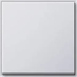 Gira 029666 Schalterwippe