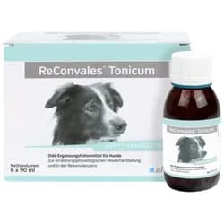 Reconvales Tonicum für Hunde