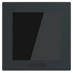 Busch-Jaeger Display 2,4" Format 63 - SD/U12.63.11-825