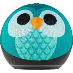Amazon Echo Dot 5 Eulen Design