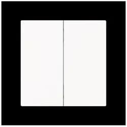 Busch-Jaeger Wippe 2-fach Smart Switch 6736 FoH-44M
