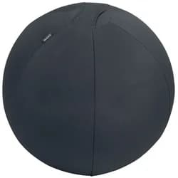 Leitz, Gymnastikball, (55 cm)