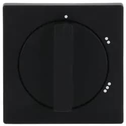 Busch-Jaeger Zentralscheibe sw mt 2542 DR/02-885