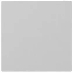 Gira Wippe gerade 3496015