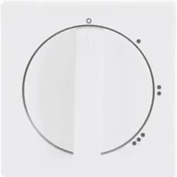 Busch-Jaeger Zentralscheibe dav/stws 2542 DR/01-84