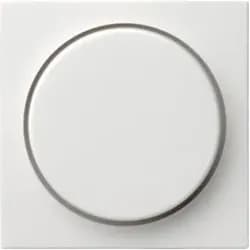 Gira Abdeckung rws-gl 065003