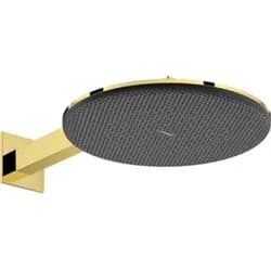 hansgrohe Kopfbrause Raindance Alive S 2jet, Mind.-Druck 0,9, pol. gold optic
