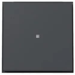 Gira Wippe Kontrollf. 329067