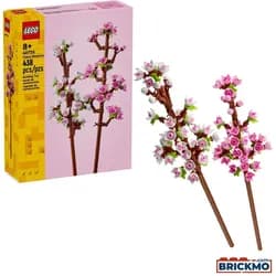 Kirschblüten