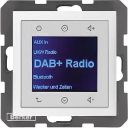 Berker Radio DAB+, Bt., S.1/B.x p 30849909