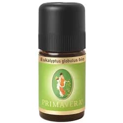 Eukalyptus globulus bio