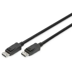 DisplayPort 1.4 Cable - 1m