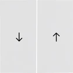 Berker Wippe pws/gl 16258989