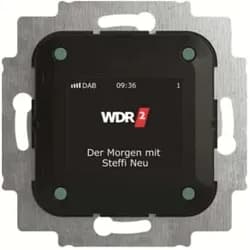Busch-Jaeger Busch-Radio DAB+