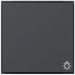 Gira Wippe Symb. Licht 328567