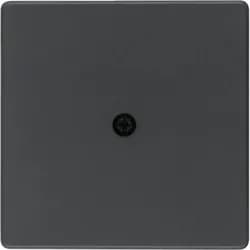 Berker Zentralstück anth/sa 10196086