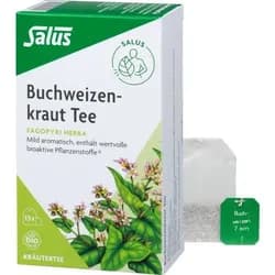Buchweizenkraut Tee Fagopyri herba bio Salus