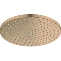 Hansgrohe Raindance S Kopfbrause Gebürstete Bronze 27623140