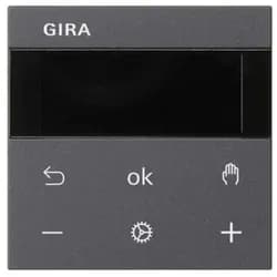 Gira RTR Display 539328