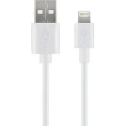 goobay Lightnin/USB-Kabel 54600 1 m