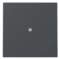 Gira Wippe Kontrollf. 329028