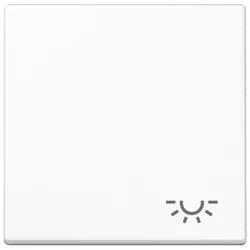 Jung Wippe Symbol LICHT aws A 590 L WW