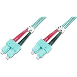 patch cable - 1 m - 1m