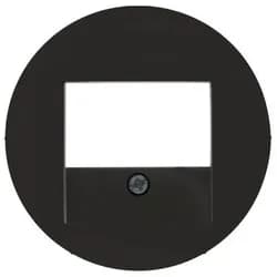 Berker Zentralstück sw/gl 10382045