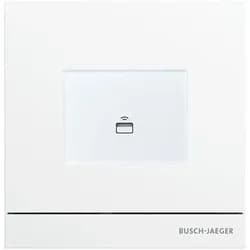Busch-Jaeger Zutrittskontrolle außen 83100/72-664