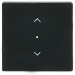 Busch-Jaeger Wippe 1-f Symbol Jalousie 6232-10-81