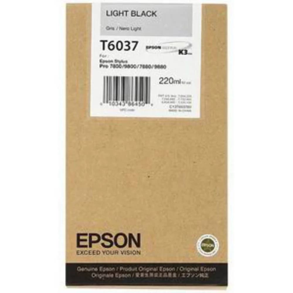 Epson Tinte C13T603700 light black T6037