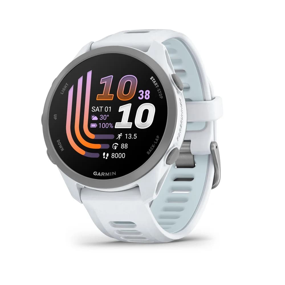 Garmin Forerunner 170 (steinweiss/cloud b)