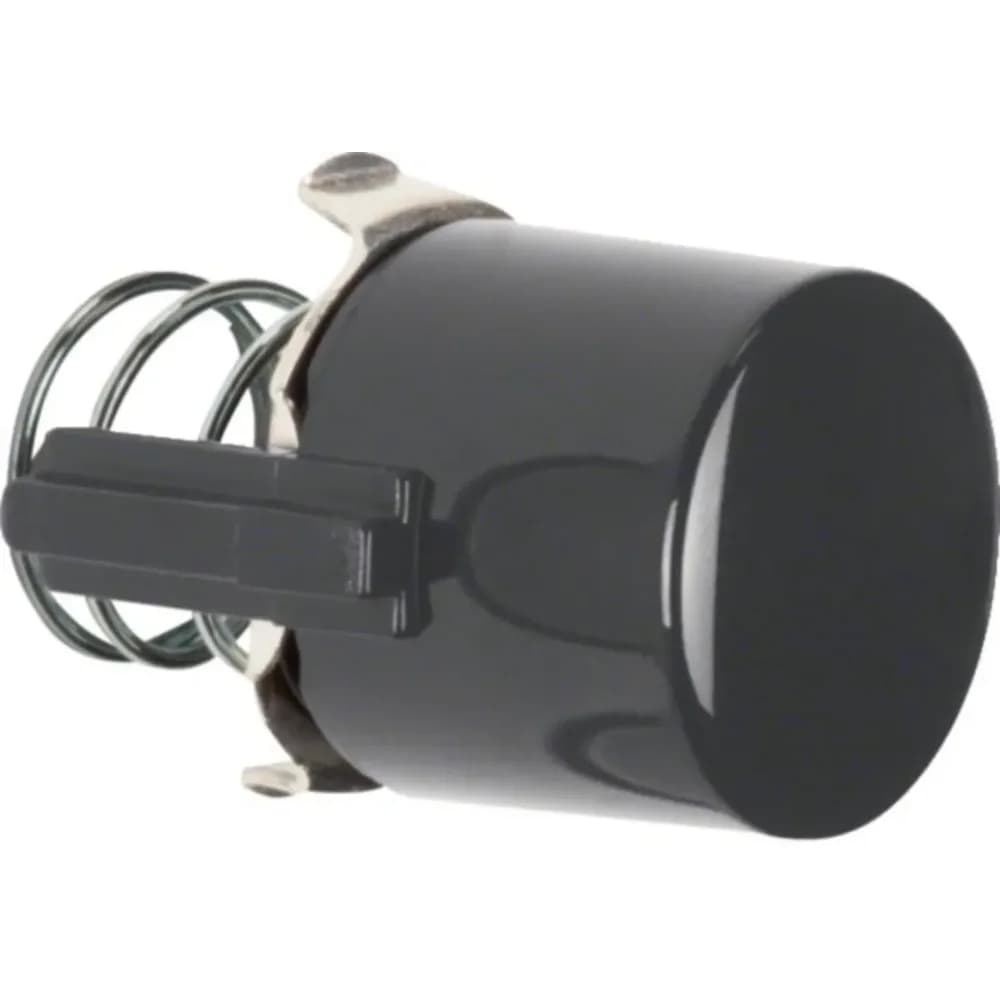 Hager Tasterknopf WTF5285BG