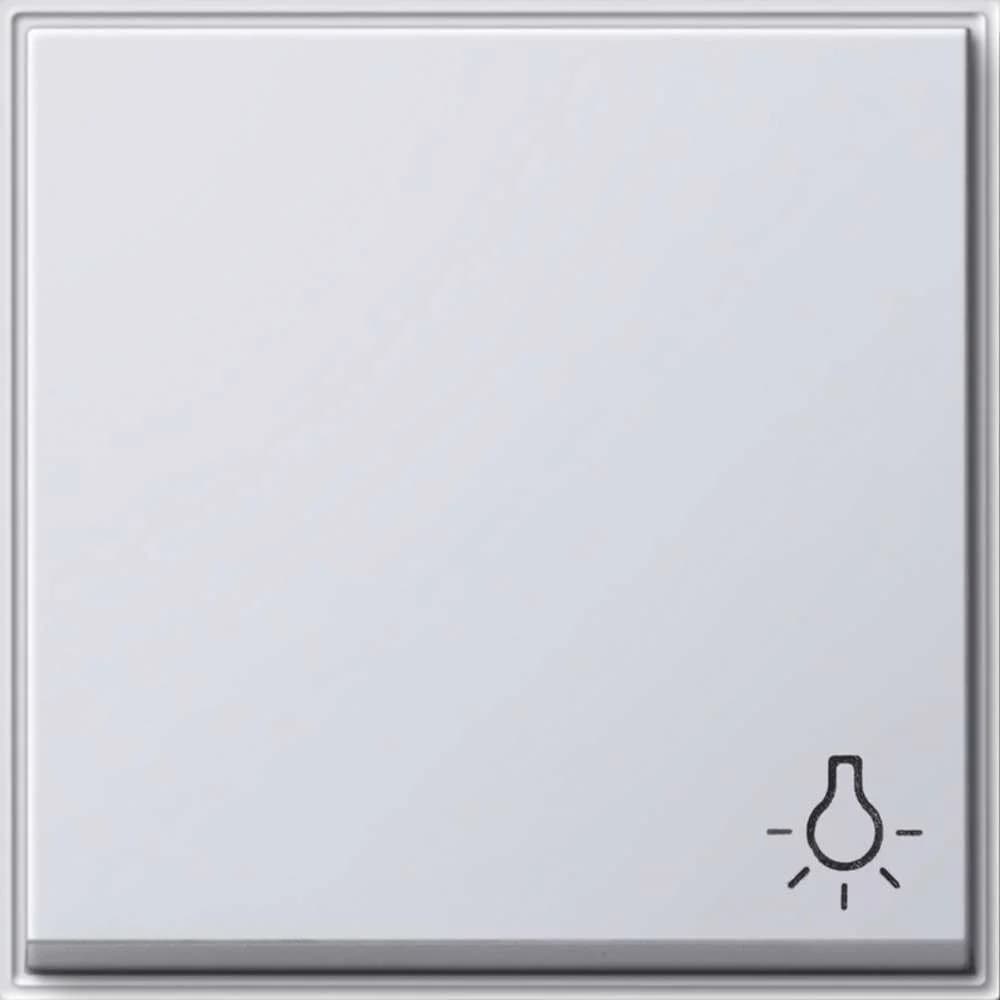 Gira Wippe Symb. Licht 328566