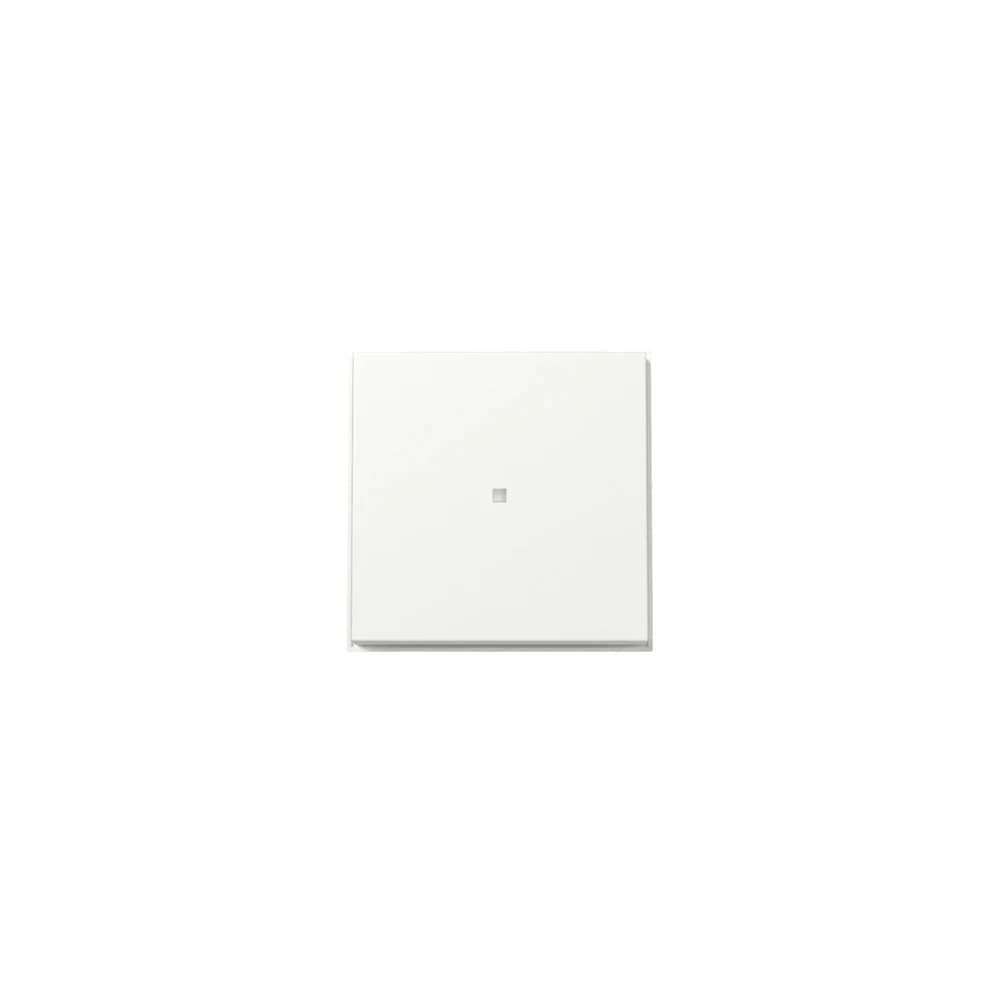 Gira Wippe Kontrollf. 329066