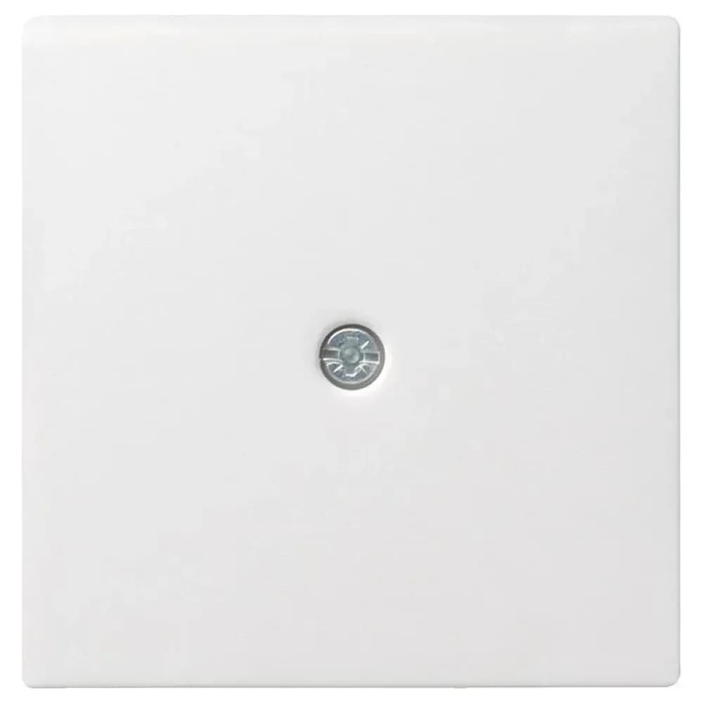 Gira Zentraleinsatz rws-gl 027403