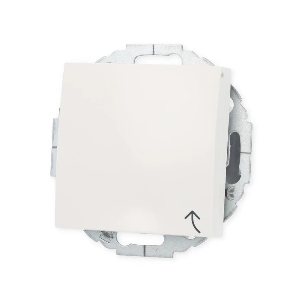 Berker SCHUKO-Steckdose pws/gl 47448989